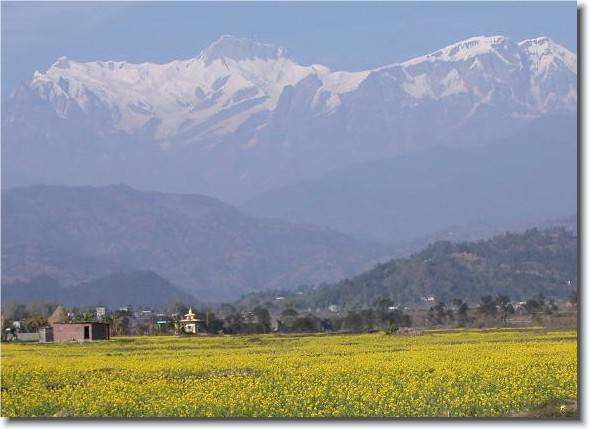 Click for the original image